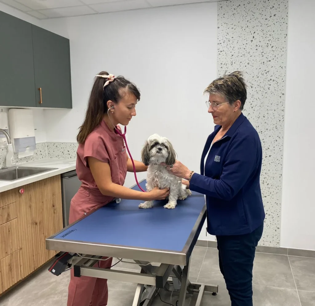 SELAS DE VETERINAIRES CARRE SAINT REMY