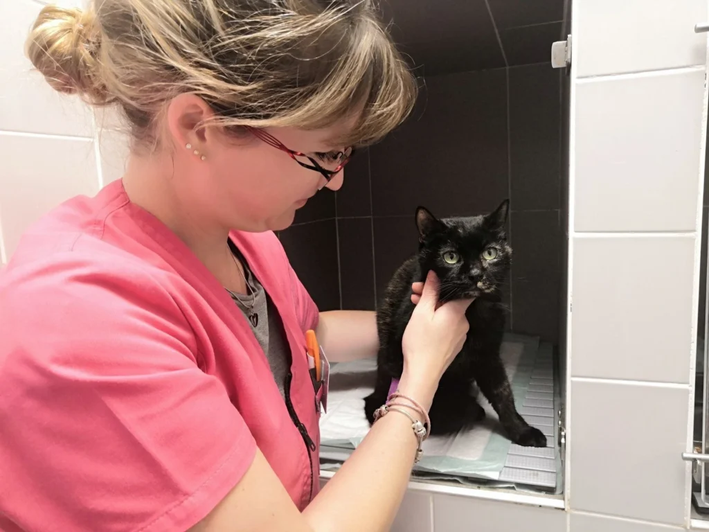 SELARL VETERINAIRE DEMI-LUNE CLINIQUE VETERINAIRE DEMI-LUNE