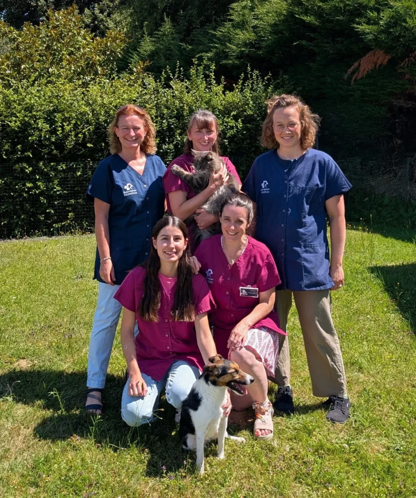 CLINIQUE VETERINAIRE DU LONDEAU