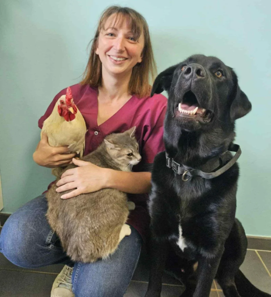 CLINIQUE VETERINAIRE DU LONDEAU