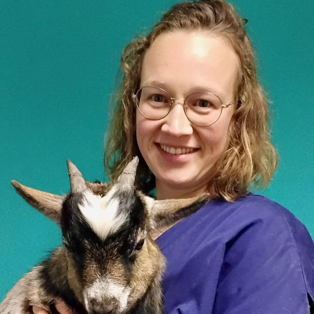 CLINIQUE VETERINAIRE DU LONDEAU