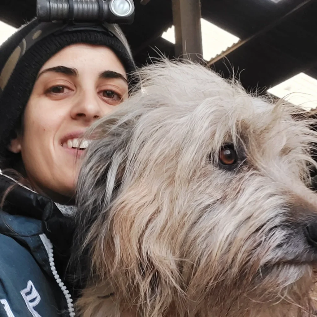 CABINET VETERINAIRE DES AMOGNES