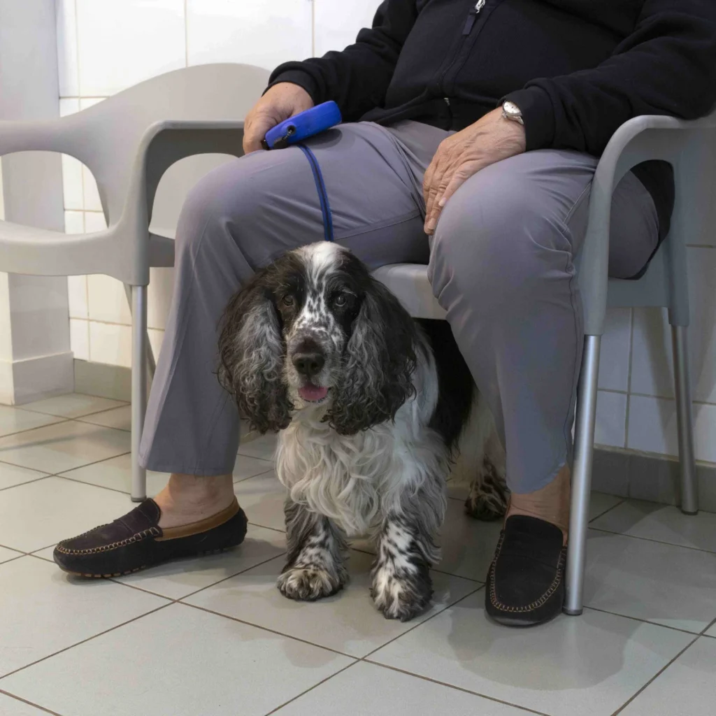 CLINIQUE VETERINAIRE COEUR DE GARCHES