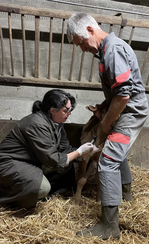 SCP CABINETS VETERINAIRES BRINON TANNAY