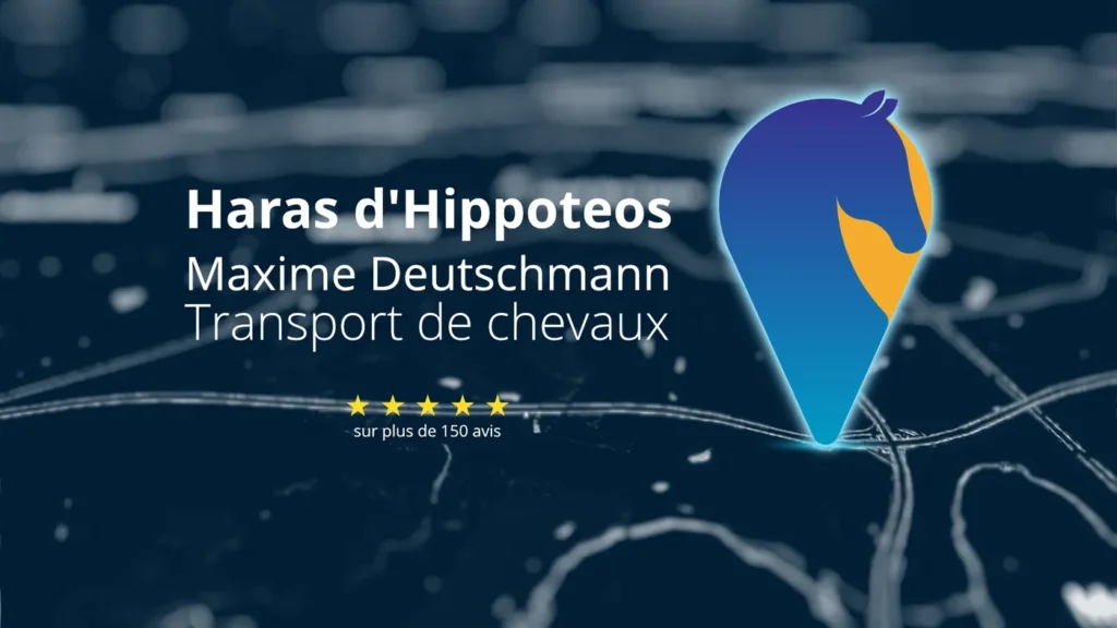 HARAS D&rsquo;HIPPOTEOS (M.D.D.E. DENTISTE EQUIN)