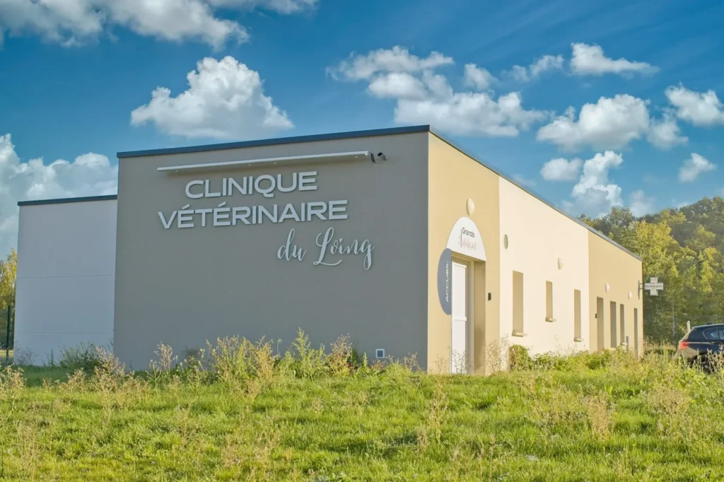 SCP DES DOCTEURS VETERINAIRES DIZIEN – LEGRU – LEGRU-SARRAZIN – HEBERT – GRUEL – RAUTENBACH