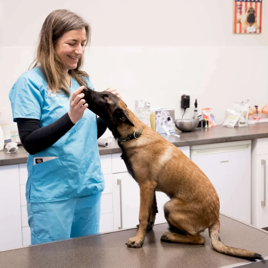 DE L&rsquo;EUROPE (CLINIQUE VETERINAIRE DE L&rsquo;EUROPE)