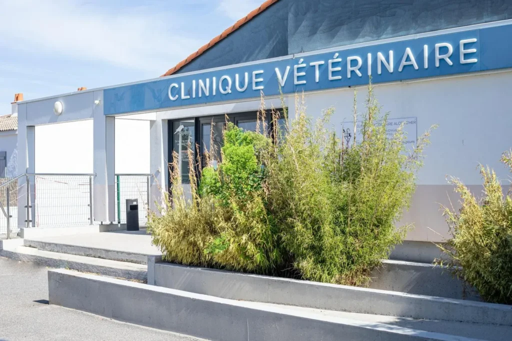CLINIQUE VETERINAIRE ALCEA D&rsquo;HER