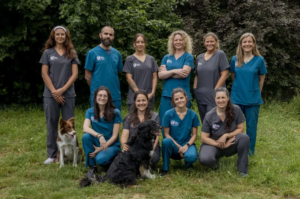 DE L&rsquo;EUROPE (CLINIQUE VETERINAIRE DE L&rsquo;EUROPE)