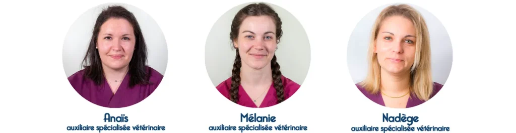 SOCIETE CIVILE PROFESSIONNELLE VETERINAIRE DES CHAMBONS