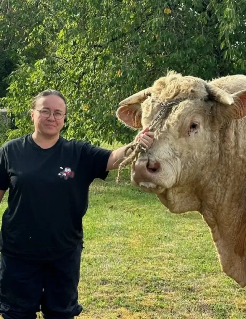 SCP CABINETS VETERINAIRES BRINON TANNAY