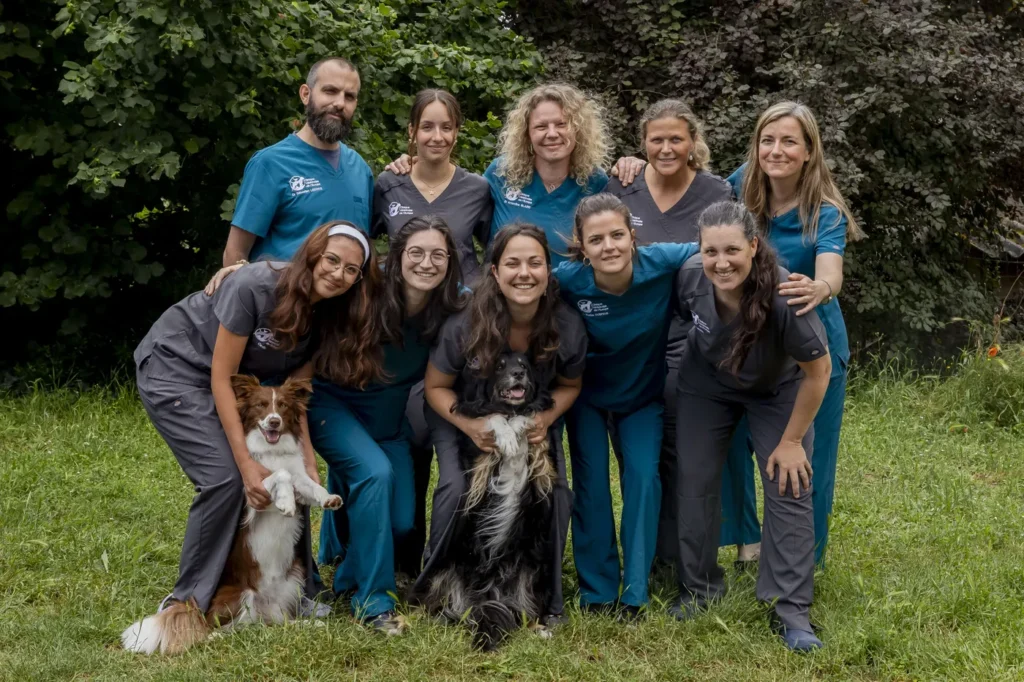 DE L&rsquo;EUROPE (CLINIQUE VETERINAIRE DE L&rsquo;EUROPE)