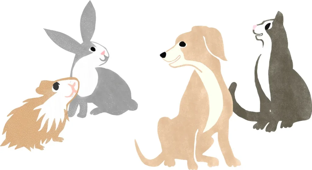 SELARL DES VETERINAIRES HERMELAND