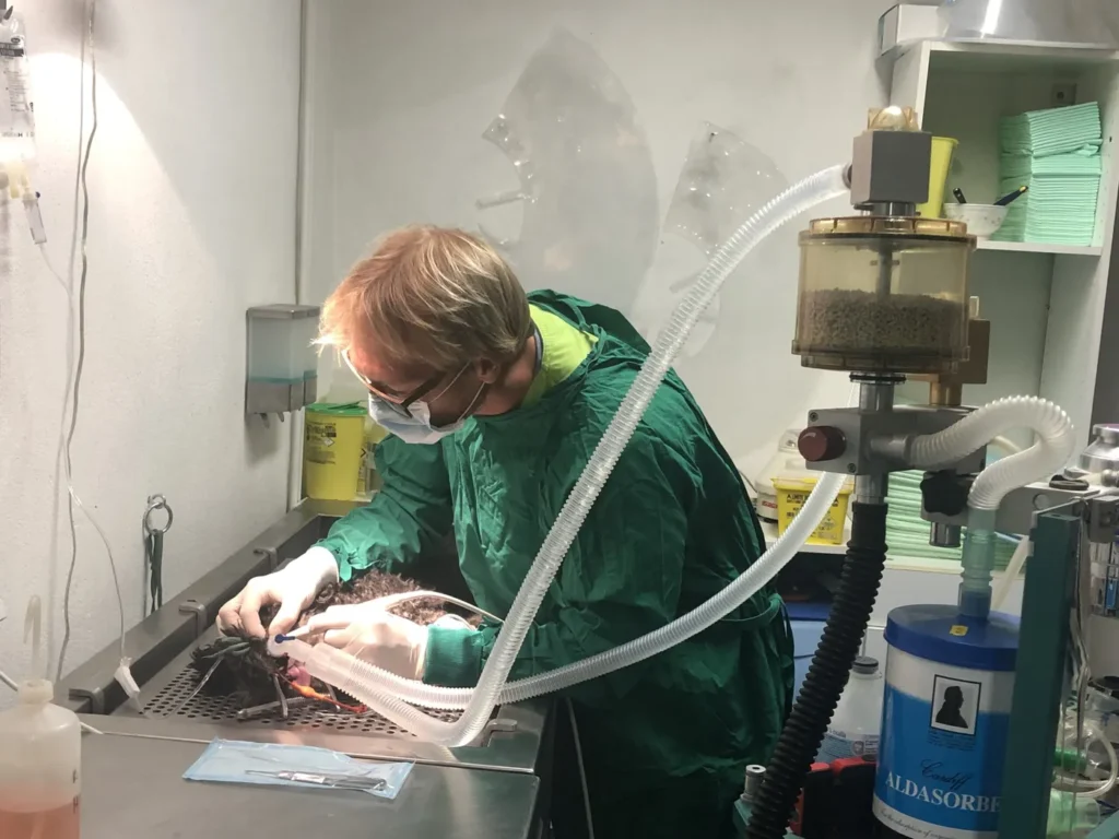 SCP DOCTEURS VETERINAIRES ROBIN-LEJEUNE