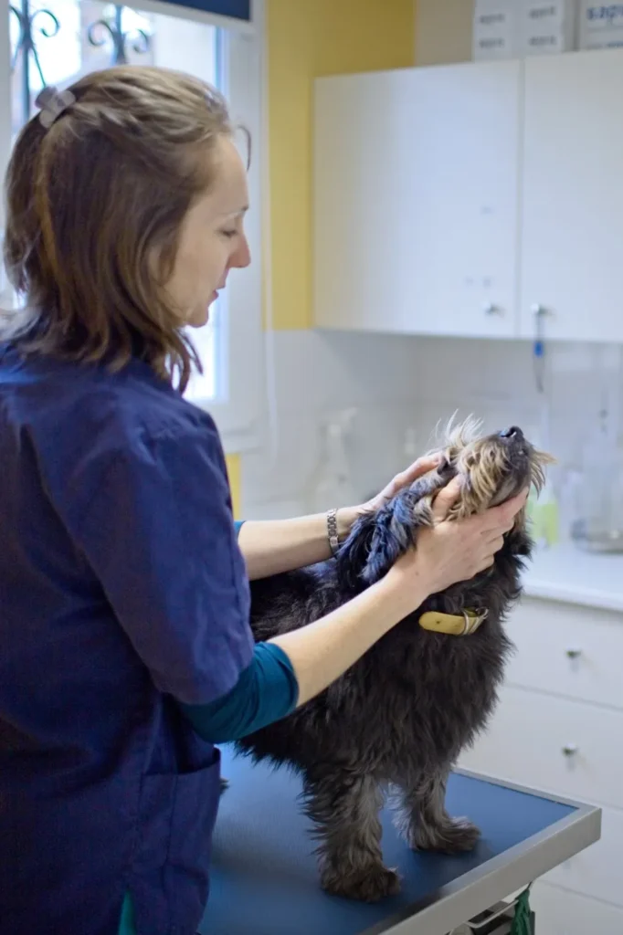 SCP DES DOCTEURS VETERINAIRES DIZIEN – LEGRU – LEGRU-SARRAZIN – HEBERT – GRUEL – RAUTENBACH