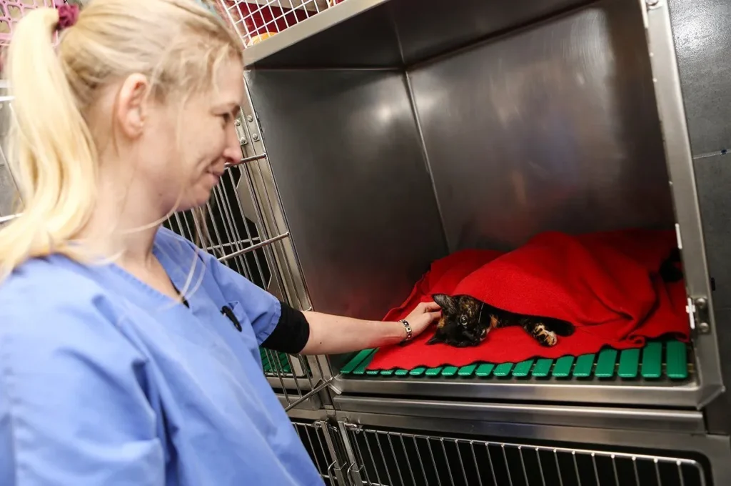 SELAS VETERINAIRE SAINT ROCH