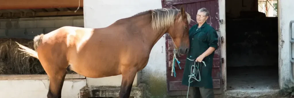 CLINIQUE VETERINAIRE COEUR DE GARCHES
