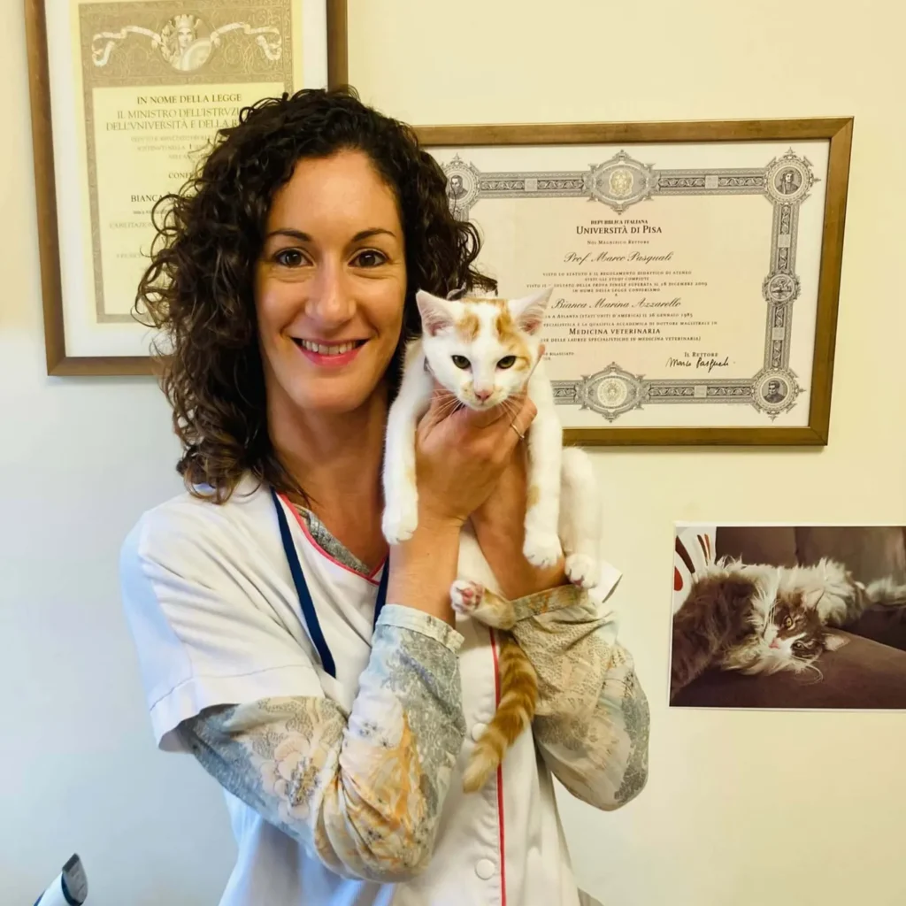 DES PIEDALLOUES (CLINIQUE VETERINAIRE DES PIEDALLOUES)