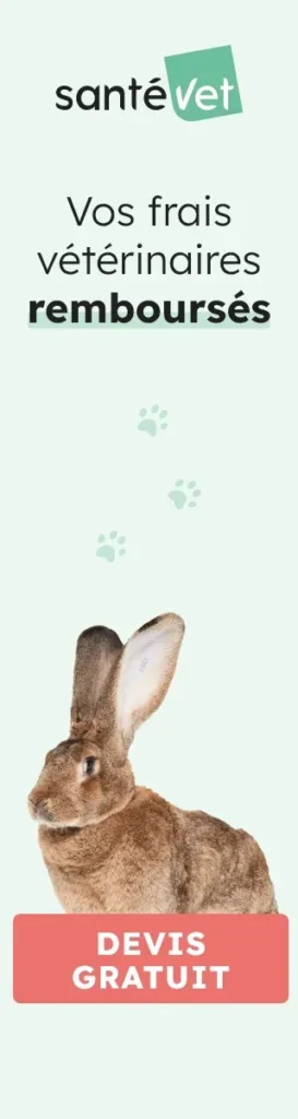 SELARL VETERINAIRE DE BEAUBLANC