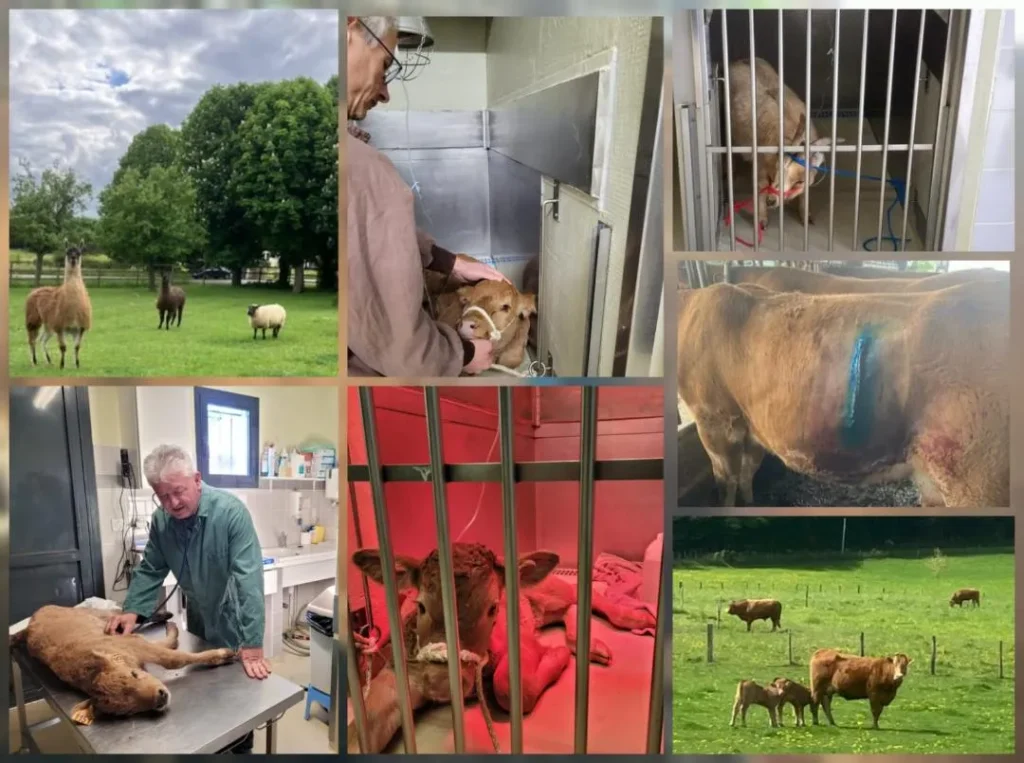 VETERINAIRES D&rsquo;ARSONVAL