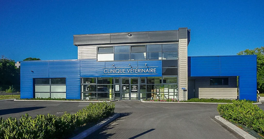 VETERINAIRES BRACIEUX (CLINIQUE VETERINAIRE DE BRACIEUX)