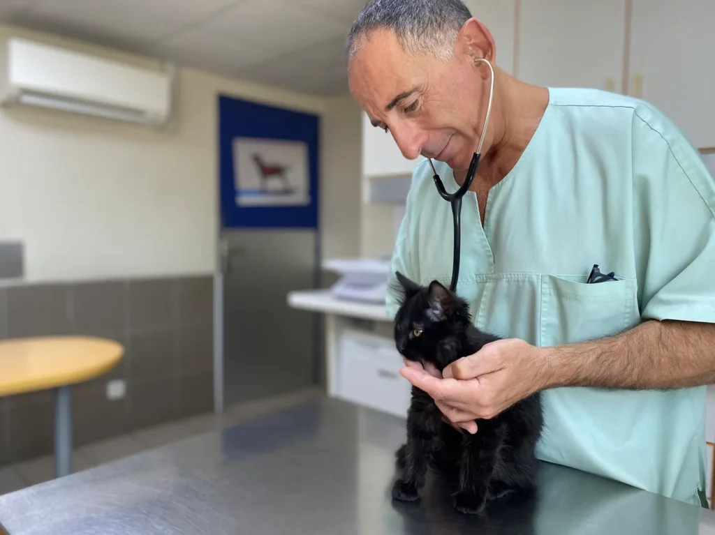 CLINIQUE VET. DRS BONIFACE CHICHE BALMER