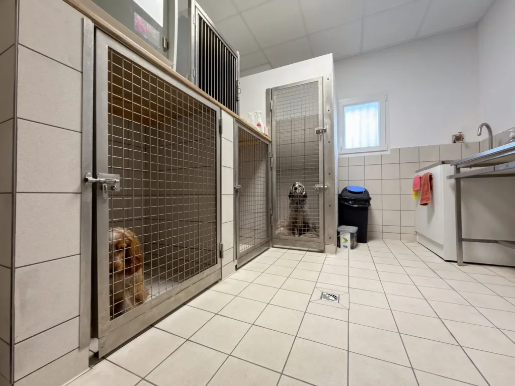 SELAS VETERINAIRES DE L&rsquo;EPAU