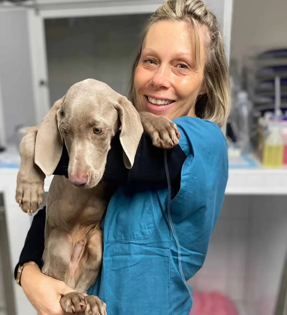 DES PIEDALLOUES (CLINIQUE VETERINAIRE DES PIEDALLOUES)