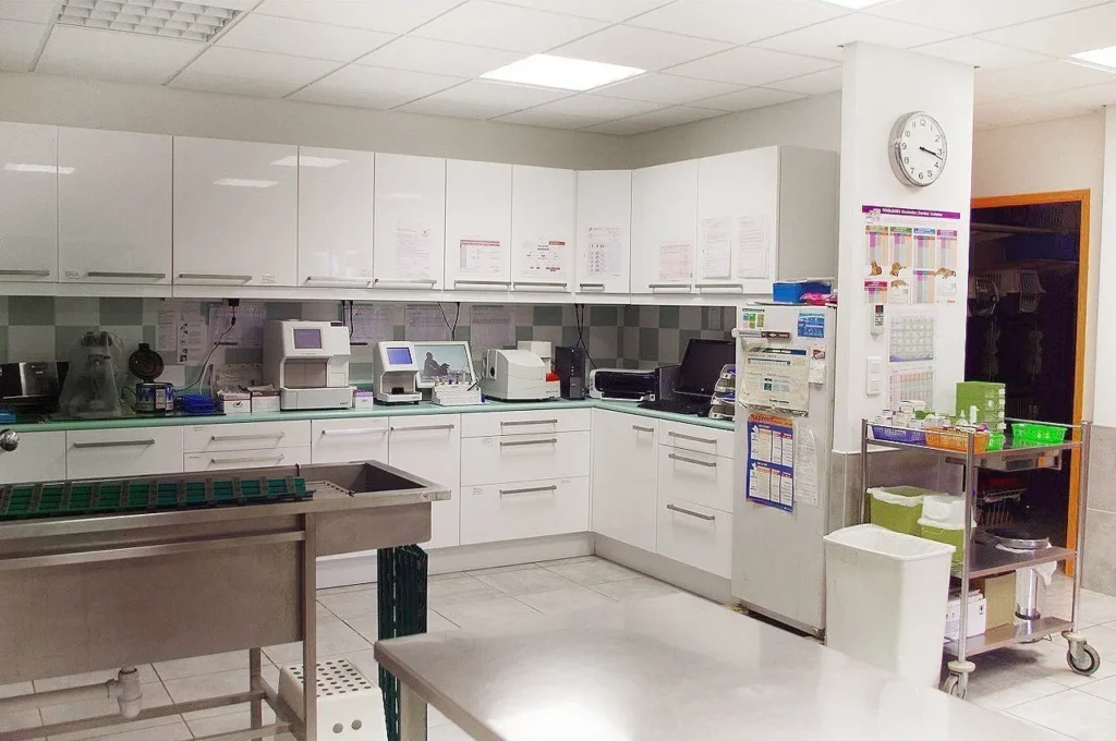 SELAS VETERINAIRE SAINT ROCH
