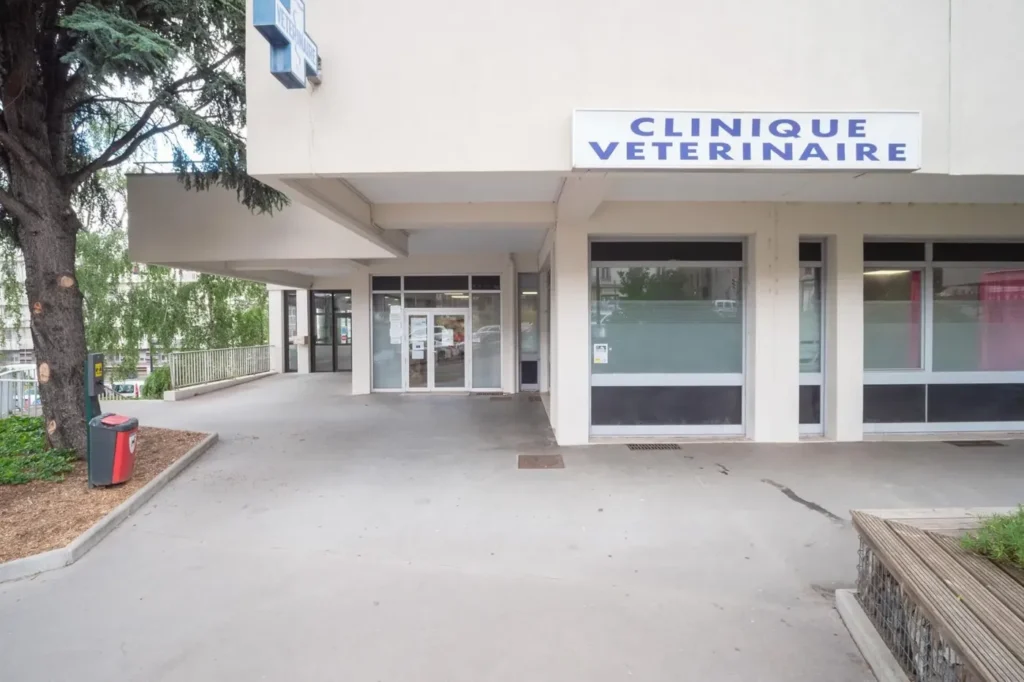 FRANCOIS SALACROUP-LAURENT
