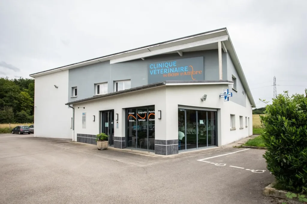 SCP DAVID BRALET, VETERINAIRE ASSOCIE