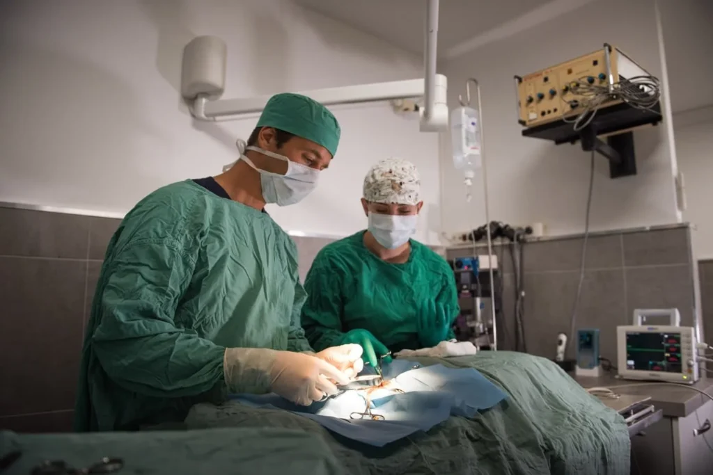 PASCAL PERRAIS