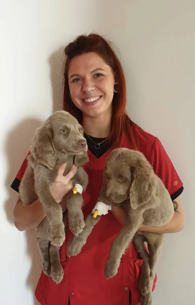 CLINIQUE VETERINAIRE DE LA CHIERS